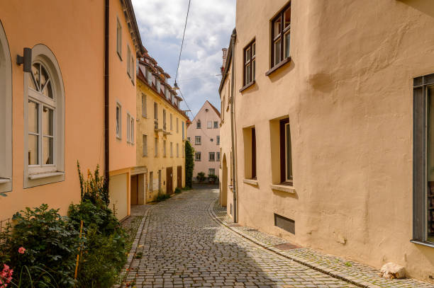 istock Architecture of Ulm,  Baden-Wurttemberg, Germany 1013570004