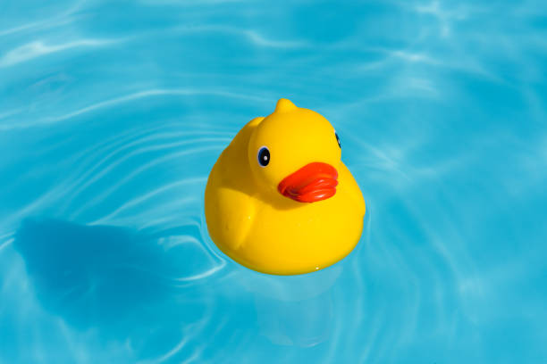 istock A single yellow rubber duck floats in a paddling pool 1013570012