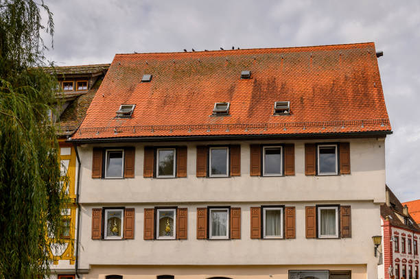 istock Architecture of Ulm,  Baden-Wurttemberg, Germany 1013570262