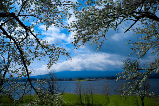 istock Mountain Fuji from Famous location 1013573678