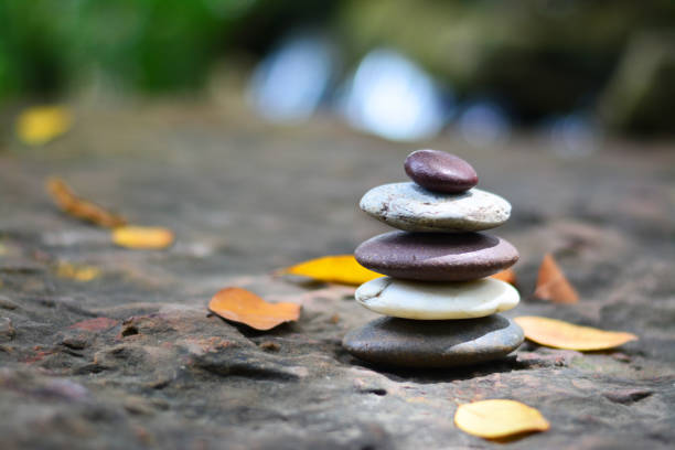istock Zen stones and fallen leaves on rock left space position. 1013574116