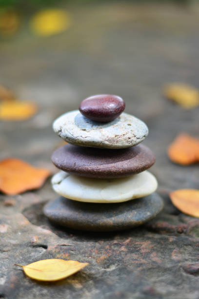 istock Zen stones and fallen leaves on rock vertical position. 1013574138