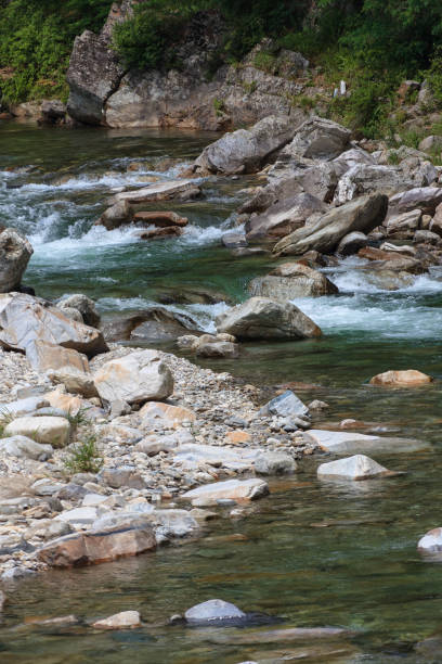 istock the water of a brook Stream 1013578058