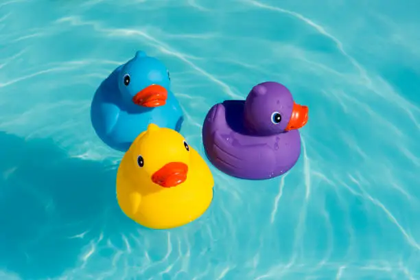 Three colorful rubber ducks, yellow, blue and purple, swimming in the water in a paddling pool