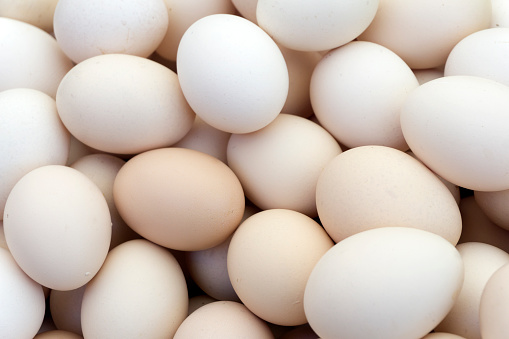 Background of chicken eggs
