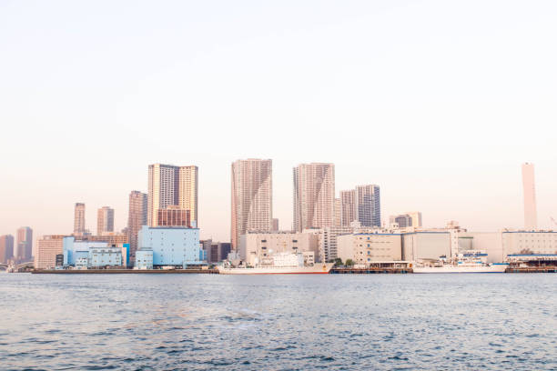 istock View of sumida river viewpoint in tokyo 1013590450