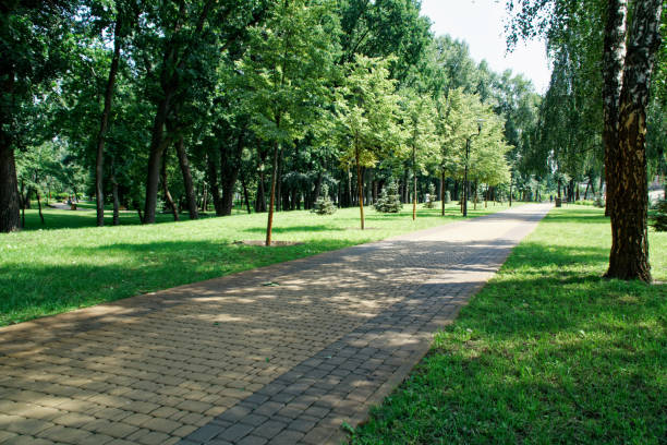 istock Public park with lawn bench and green tree, place for relaxation. 1013596892