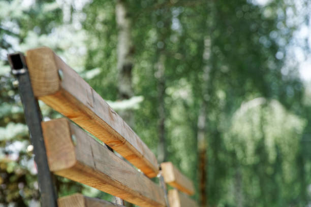 Close-up bench in public park, sunny day, clear weather Close-up bench in public park, sunny day, clear weather. elefant stock pictures, royalty-free photos & images