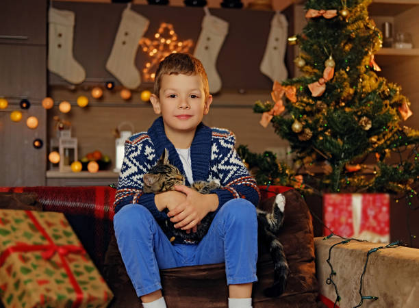 istock A boy sits on a couch and hugging a cat. 1013602690
