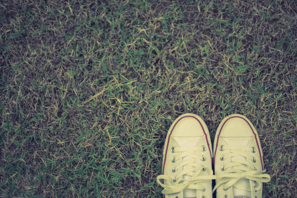 istock closeup of white shoes placed on grass 1013602812