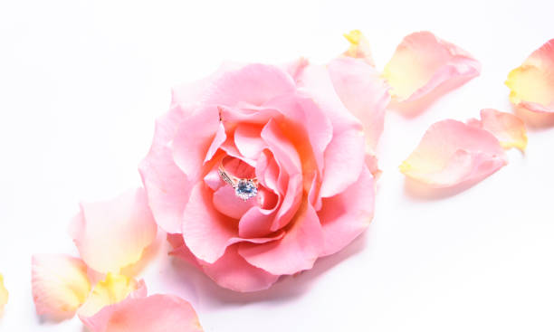 istock Golden wedding rings 1013605600
