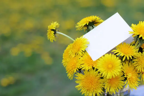 bouquet of yellow flowers dandelions with Attachments note