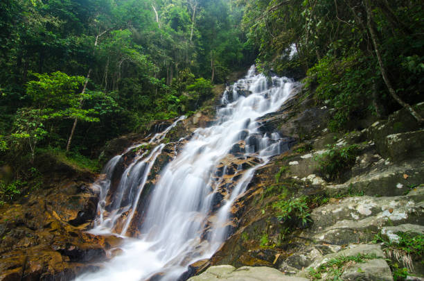 istock amazing cascading tropical waterfall. wet and mossy rock 1013610450