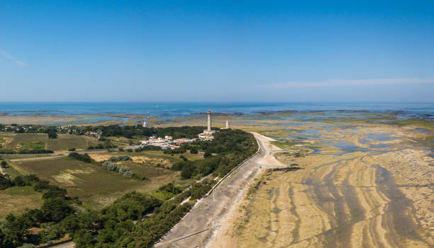 istock Aerial view of Baleines lighthouse at low tide 1013610958