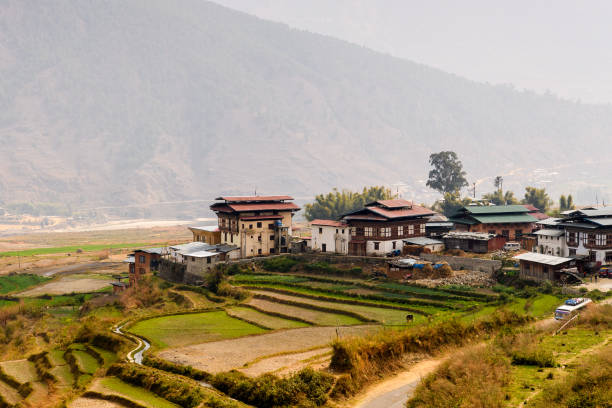 istock Nature of Bhutan 1013613766