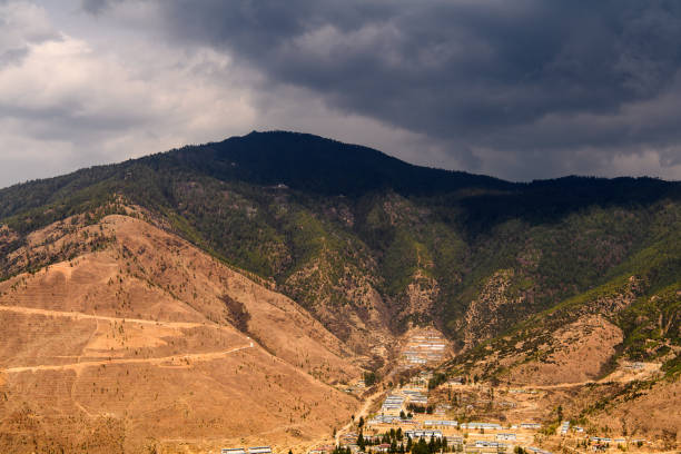 istock Nature of Bhutan 1013616800