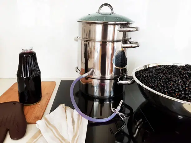 Black currant juice making by steam juicer pot in the kitchen