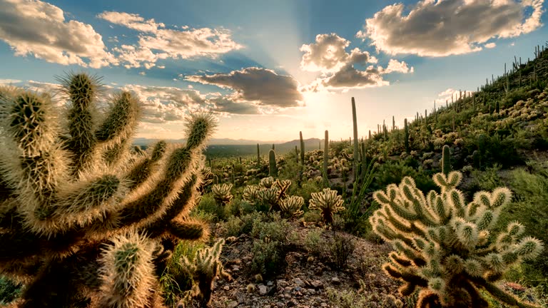 Desert Valley Sunset Timelapse/Hyperlapse - Sliding Motion