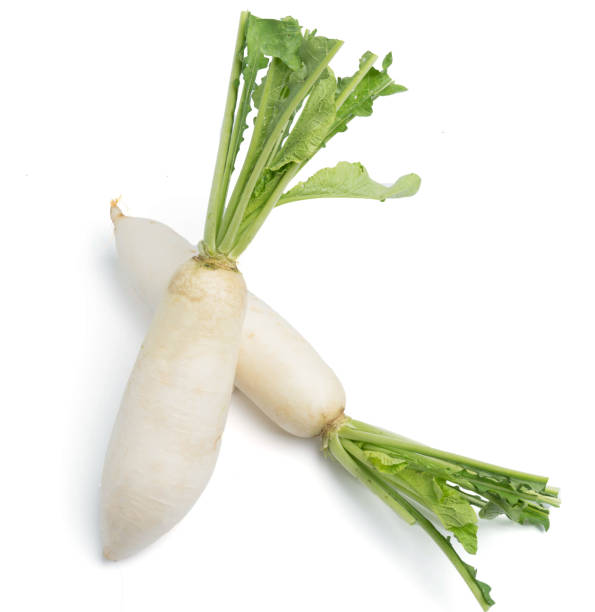 istock daikon radishes isolated on white background 1013621472