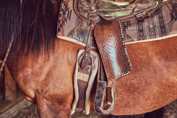 istock Cute brown horse in the countryside. 1013625202