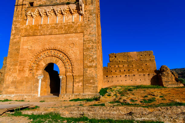 istock Ruins of El Mansourah in Tlemcen, Algeri 1013629142