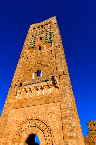 istock Ruins of El Mansourah in Tlemcen, Algeri 1013629184