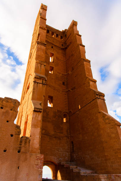 istock Ruins of El Mansourah in Tlemcen, Algeri 1013629240