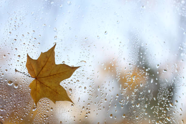 istock weather typical for autumn season 1013631688