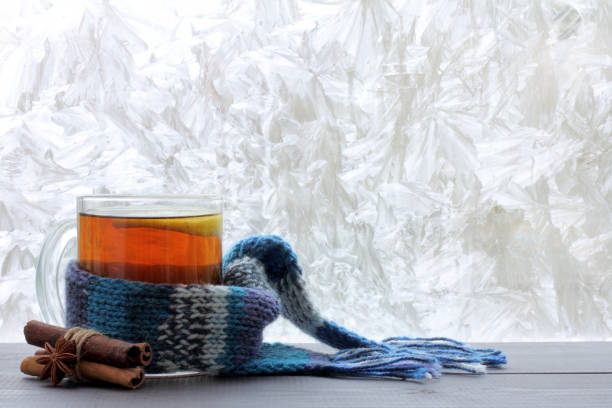 istock Christmas hot drink for the winter holidays 1013631870