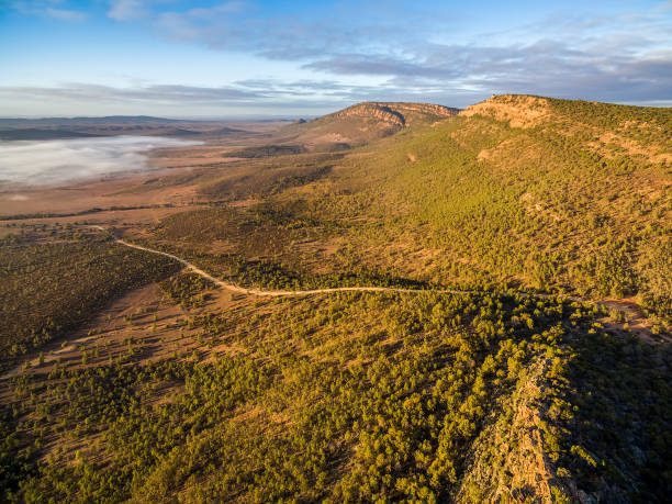 istock Winding road below rugged cliffs and low morning clouds at sunrise. Jarvis Hill lookout, Hawker, South Australia 1013632146