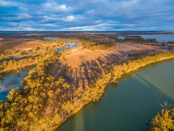 istock Eucalyptuses casting long shadows on shores of Murray River at sunset 1013635906