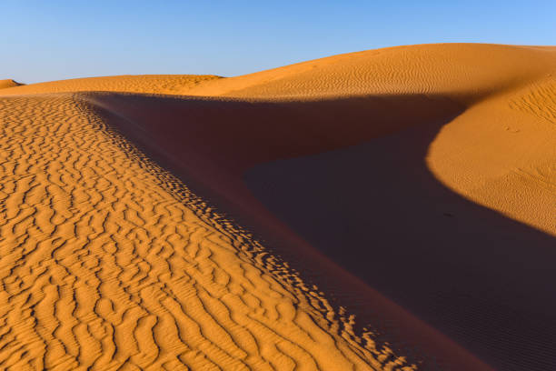 istock Amazing view of the Sahara desert 1013635952