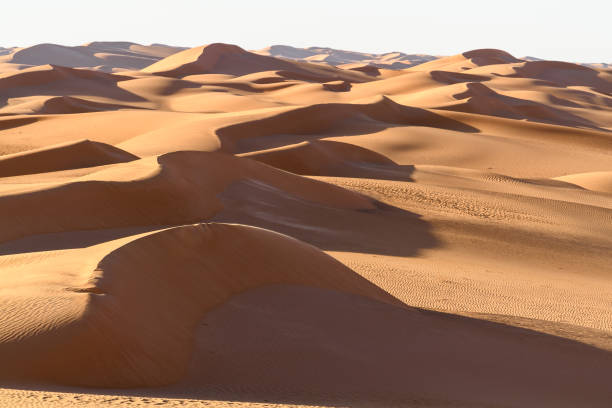 istock Amazing view of the Sahara desert 1013636130