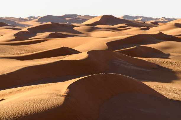 istock Amazing view of the Sahara desert 1013636150