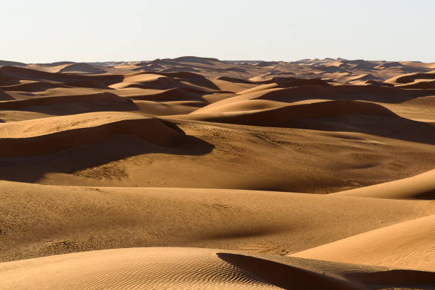 istock Amazing view of the Sahara desert 1013636158