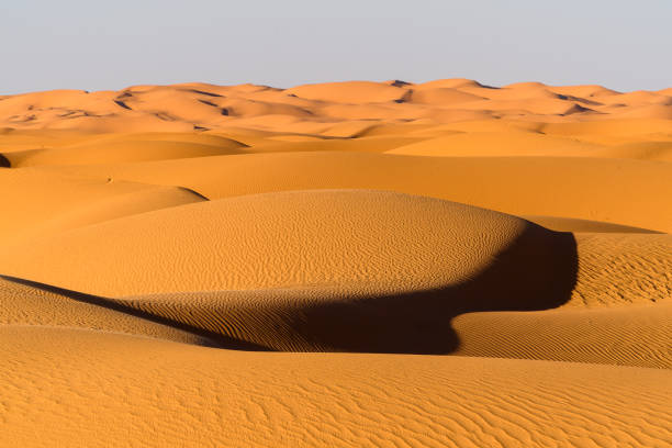 istock Amazing view of the Sahara desert 1013636172