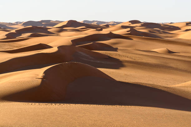istock Amazing view of the Sahara desert 1013636200