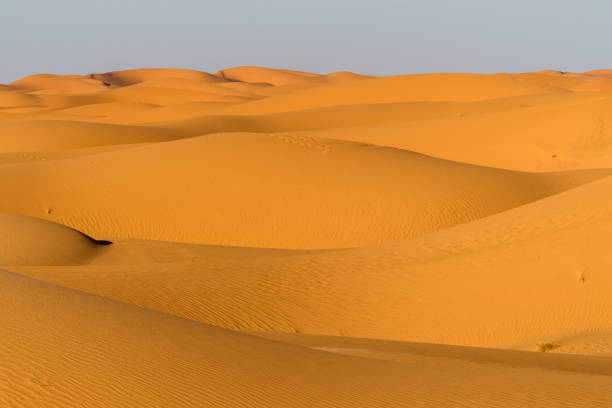 istock Amazing view of the Sahara desert 1013636240