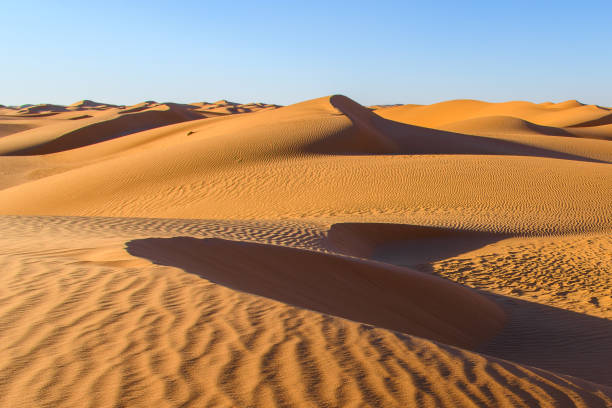 istock Amazing view of the Sahara desert 1013636392