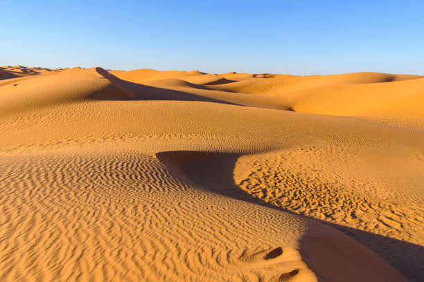 istock Amazing view of the Sahara desert 1013636444