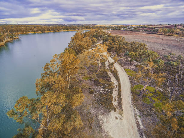 istock Dirt road among gum trees along Murray River - aerial view 1013636592