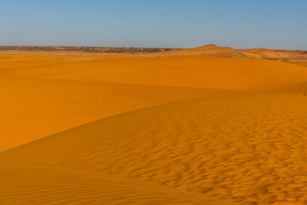 istock Beautiful view of the Sahara desert 1013636920
