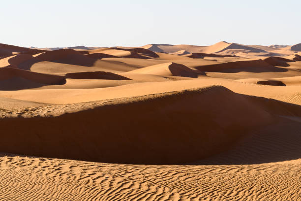 istock Beautiful view of the Sahara desert 1013637152