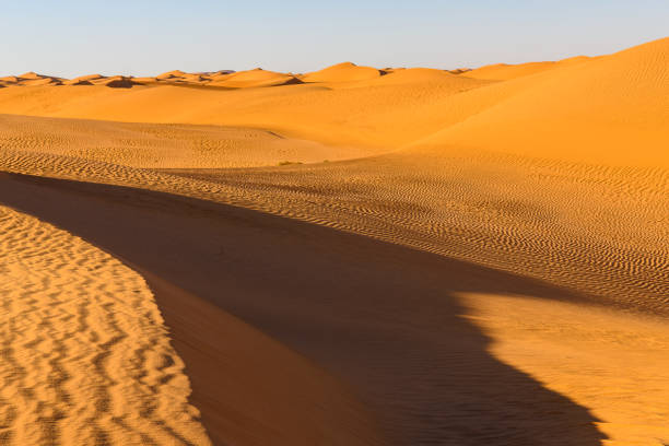 istock Beautiful view of the Sahara desert 1013637254