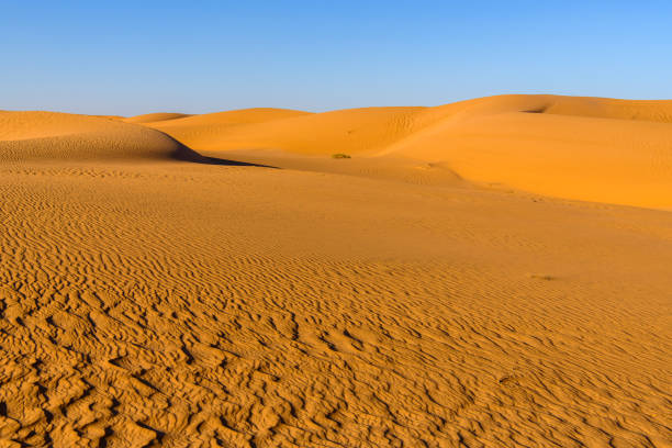 istock Amazing view of the Sahara desert 1013639456