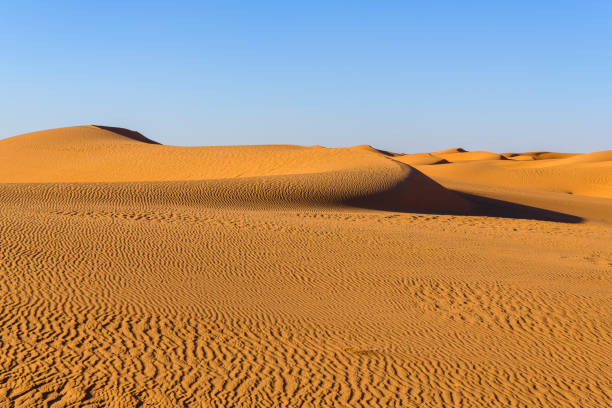 istock Amazing view of the Sahara desert 1013639486