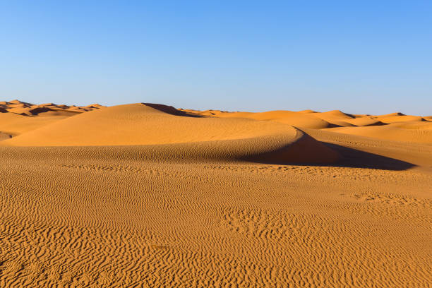 istock Amazing view of the Sahara desert 1013639520