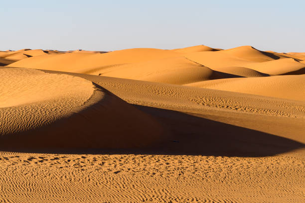 istock Amazing view of the Sahara desert 1013639582