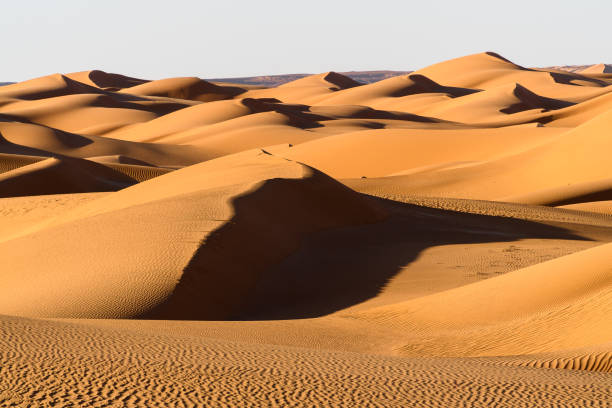 istock Amazing view of the Sahara desert 1013639712