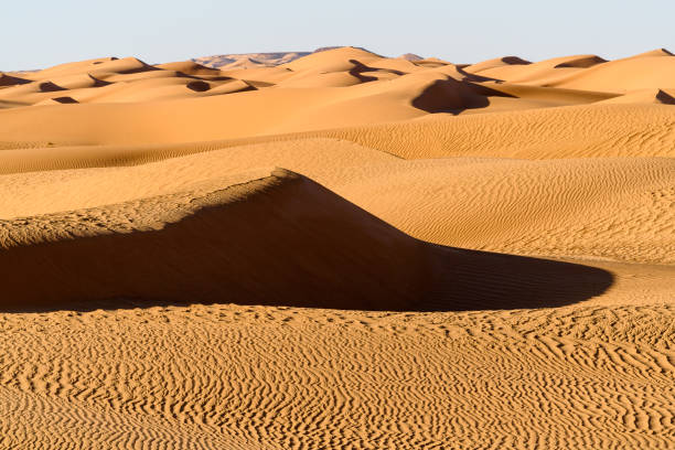 istock Dunes of the Sahara desert 1013640534